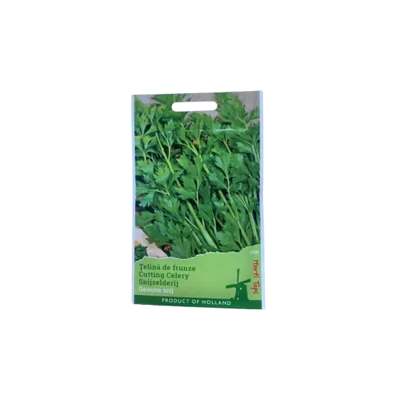 Seminte de telina pentru frunze Amsterdamse, 1 gram, Horti Tops Ofertă limitată
