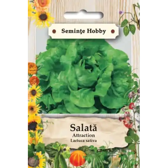 Seminte de salata Attraction, 1 gram, SemPlus Plată securizată