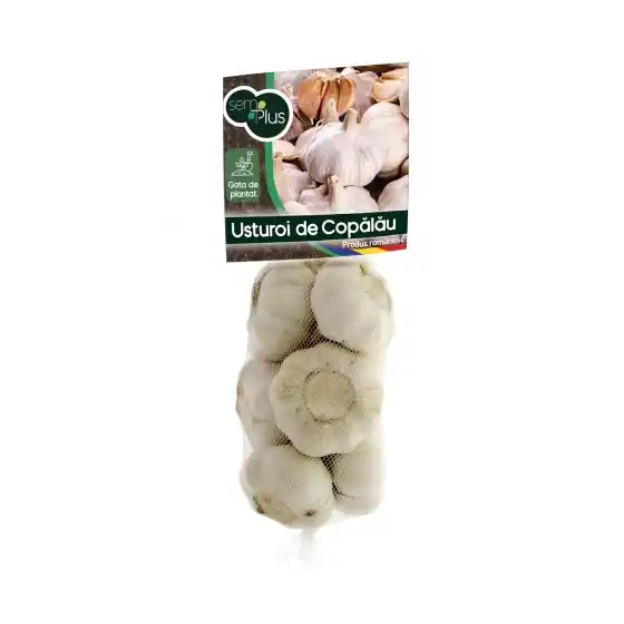 Mai ieftin Usturoi romanesc de Copalau pentru plantat si consum, 1 Kg, SemPlus