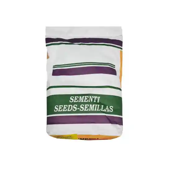 Seminte lucerna Pomposa drajata, 10 kg Preț mic