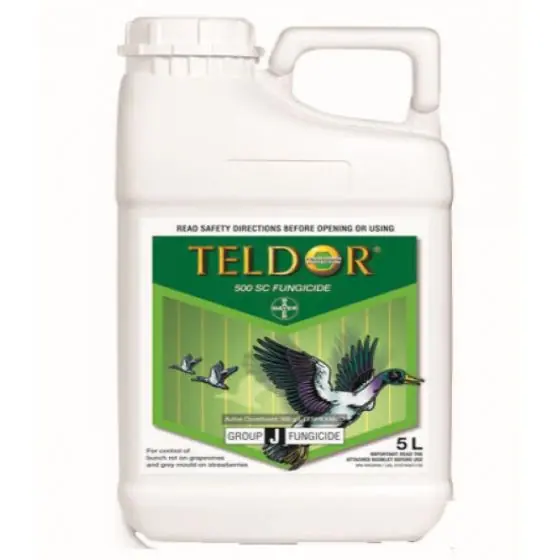 Cumpără acum Fungicid Teldor 500 SC, 5 l
