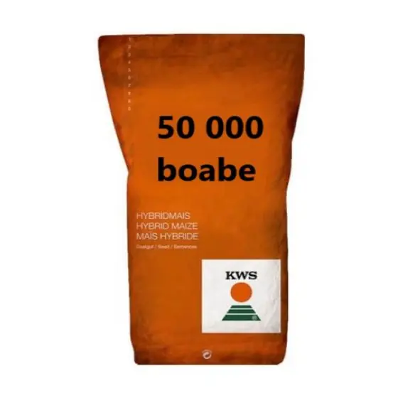 Seminte Porumb KWS Figaro FAO 280, sac 50 000 Reducere