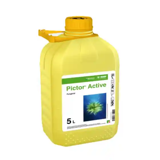 Preferatul clienților Fungicid Pictor Active, 5 l