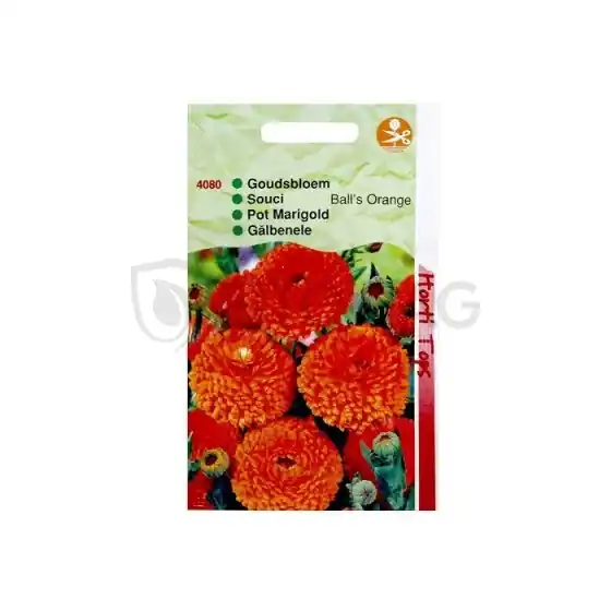 Galbenele, Calendula officinalis, 2 gr Chilipir