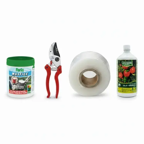 Pachet Fitopack Profesional altoire pomi fructiferi (mastic cicatrizare+foarfeca taieri+banda altoit+ulei horticol) Preț mic