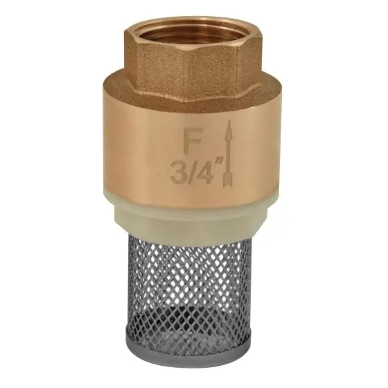 Retur gratuit Sorb Alama Sita Impuritati 2 1/2", Ferro