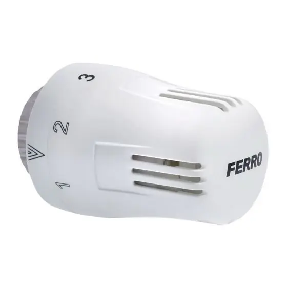 Cel mai bun preț Cap Termostatic, Ferro