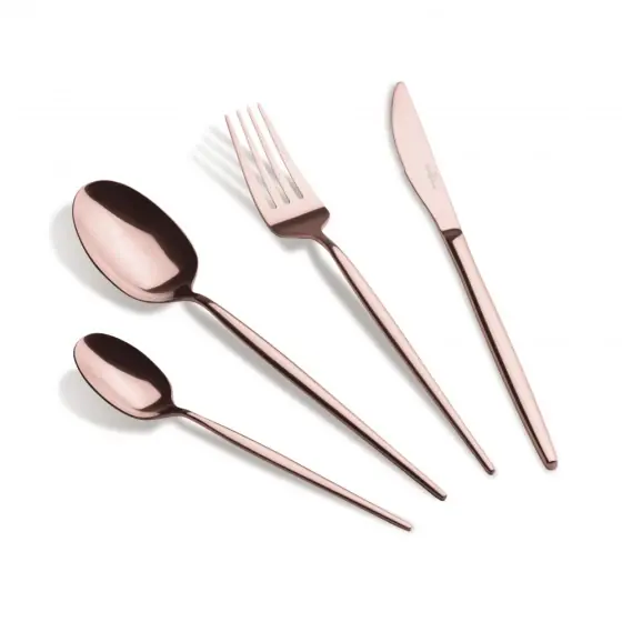 Cumpără online Set tacâmuri 24 piese, satinat - BH/3038