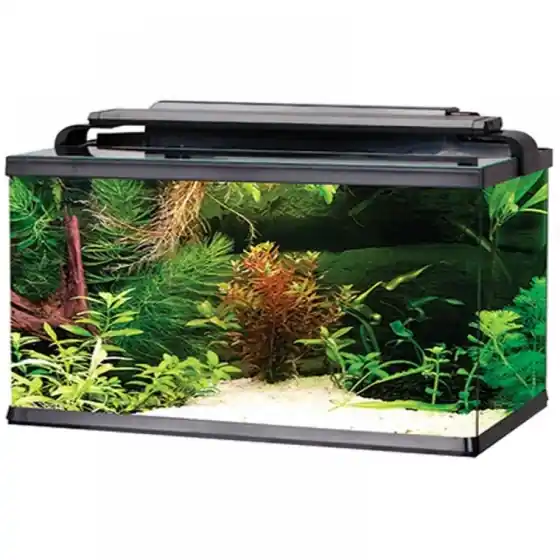 Acvariu Rectangular Led 15 L Bestseller