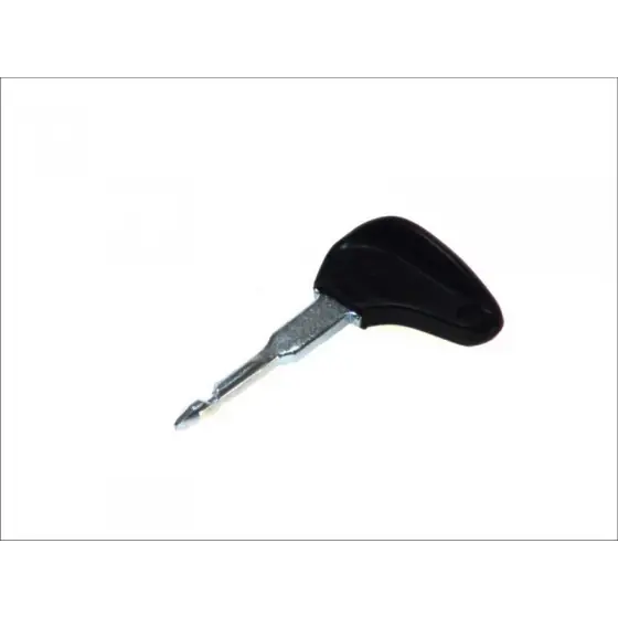 Noutate Cheie Bosch - 3 341 982 101